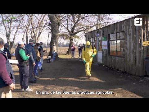 Miniatura de video sobre curso de uso y manejo de plaguicidas